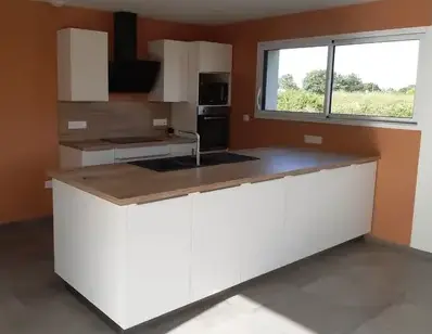démoussage de toiture Bonchamp-lès-Laval-4