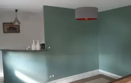 démoussage de toiture Changé-1