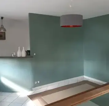 démoussage de toiture Laval-2