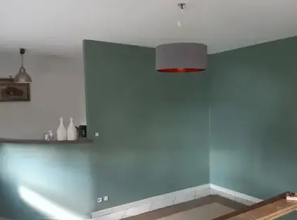 démoussage de toiture Martigné-sur-Mayenne-1